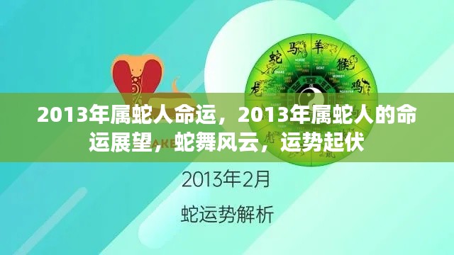 2013年属蛇人的命运展望,风云变幻,运势起伏
