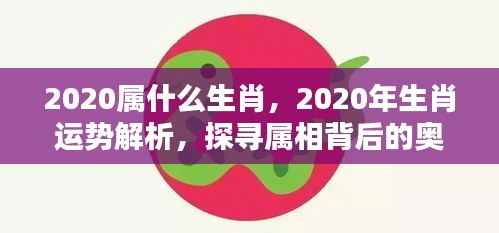 揭秘2020年属相奥秘与生肖运势解析