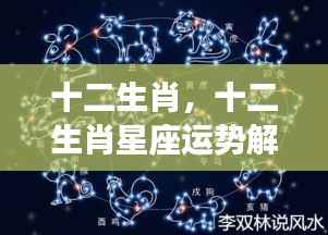 揭秘十二生肖星座运势,生肖与星座的双重影响解析