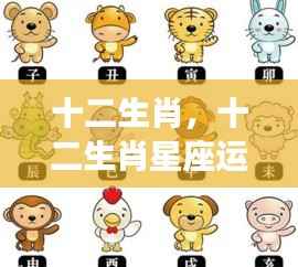 揭秘十二生肖星座运势,生肖与星座的双重影响解析