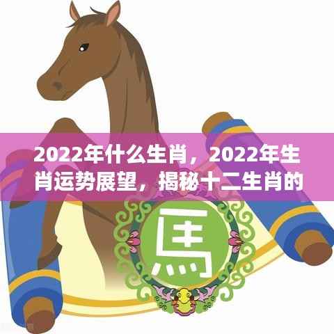 揭秘十二生肖在2022年的机遇与挑战及生肖运势展望