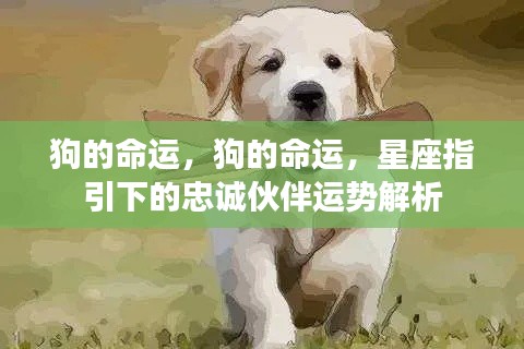 仪态万方 第4页