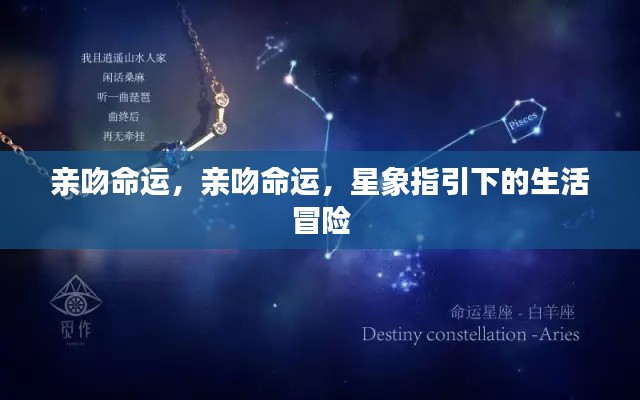 星象指引下的生活冒险,亲吻命运之旅