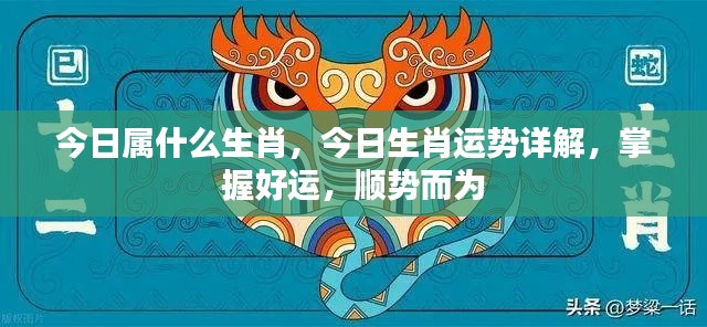 今日生肖运势详解与掌握好运势,顺势而为的策略