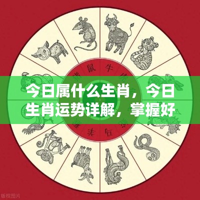 今日生肖运势详解与掌握好运势,顺势而为的策略