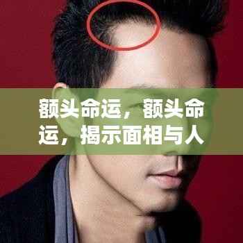 额头命运与人生轨迹,面相揭示微妙联系