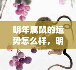 2024年属鼠人运势大解密,事业、财运、爱情全面展望