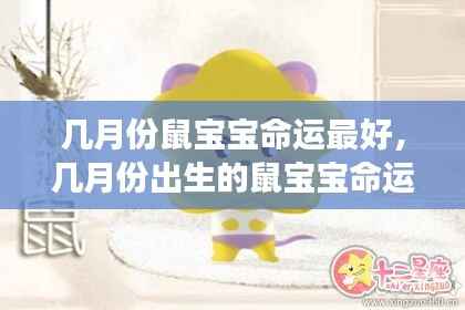 鼠宝宝最佳出生月份揭秘,星象运势助你了解命运走向