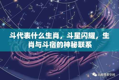 生肖与斗宿的神秘联系,斗星闪耀揭示生肖之谜