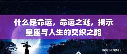 命运之谜,星座与人生交织之路的揭示