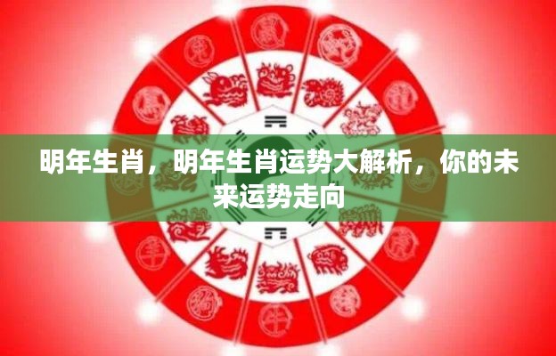 明年生肖运势大解析,洞悉未来运势走向