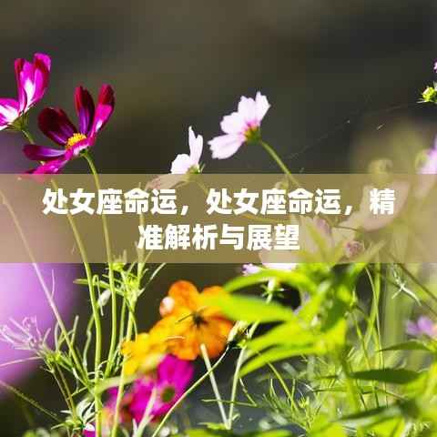 处女座命运，处女座命运，精准解析与展望