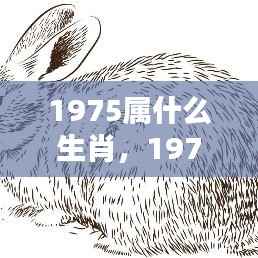 1975年属兔人的生肖运势详解及生肖特点分析