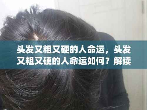 头发粗硬者的命运走向解读,探寻未来之路的奥秘与可能