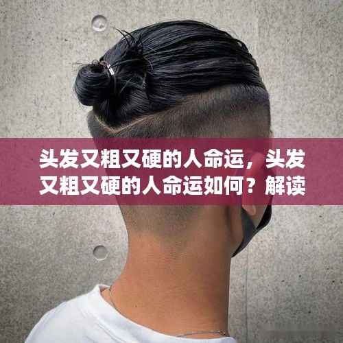 头发粗硬者的命运走向解读,探寻未来之路的奥秘与可能