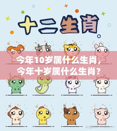 今年十岁属什么生肖?星座运势深度解析!