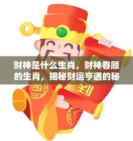 揭秘财神眷顾的生肖,财运亨通的秘密探索