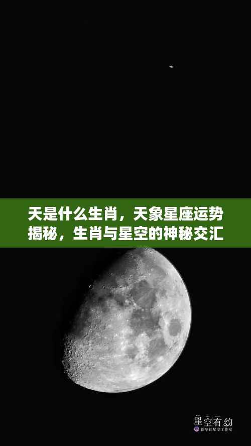 生肖与星空神秘交汇,天象星座运势揭秘及生肖星座特点探索