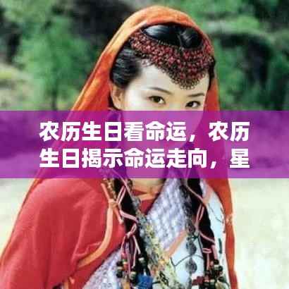 龙飞九五 第5页