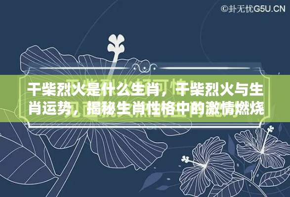 揭秘生肖激情燃烧时刻,干柴烈火与生肖运势的关联分析