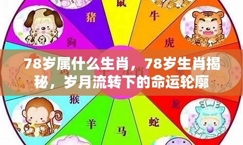 揭秘生肖轮回,探寻78岁命运之轮下的生肖秘密