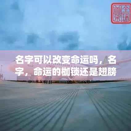 名字,是命运的枷锁还是飞翔的翅膀?——探究名字对命运的影响
