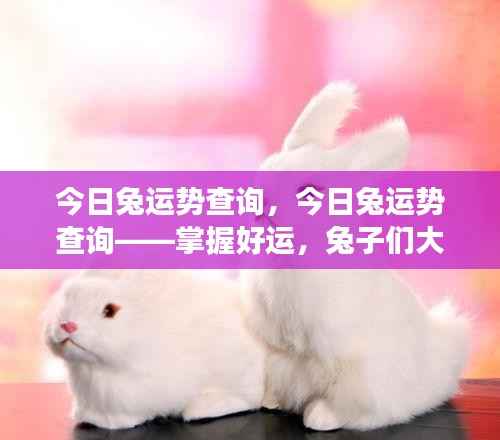 今日兔运势查询,大展宏图,掌握好运!