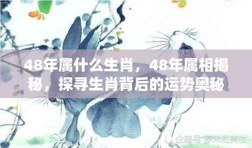 揭秘生肖奥秘,探寻48年属相运势与生肖揭秘