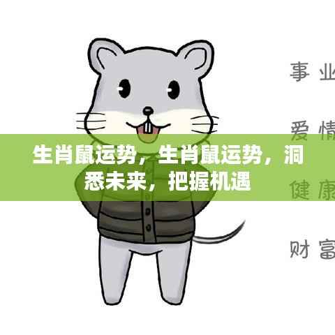 生肖鼠运势揭秘,洞悉未来,把握黄金机遇