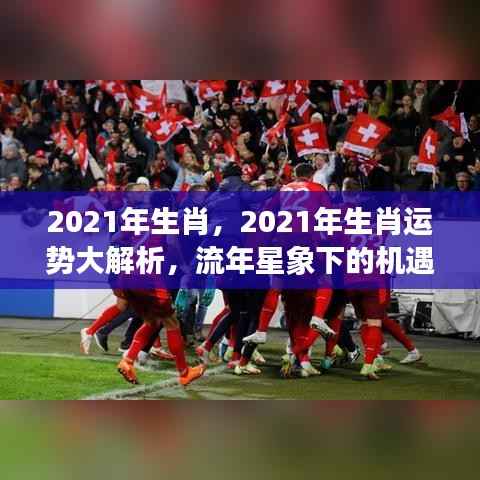 流年星象下的机遇与挑战,2021年生肖运势大解析