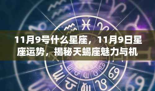 揭秘天蝎座,11月9日的星座运势与魅力机遇解析