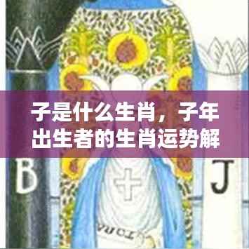 子年出生者的生肖运势解析及特点总结,探寻子鼠年生肖的奥秘与运势展望