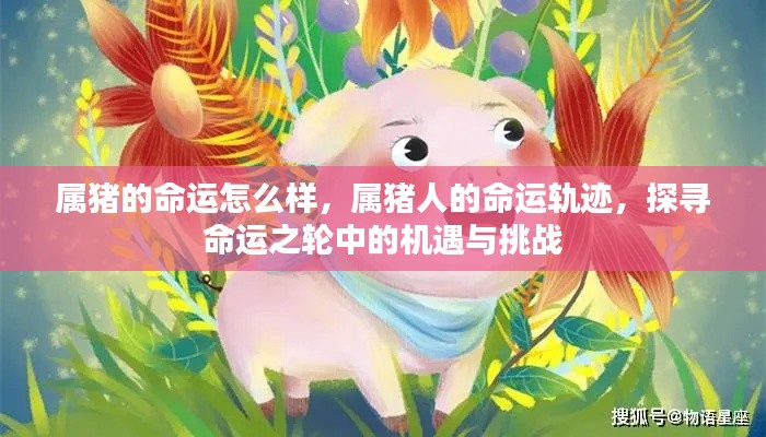 属猪人的命运探寻,机遇与挑战并存的命运轨迹