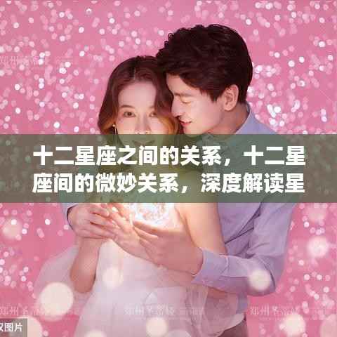 深度解读,十二星座间的微妙关系与相互作用