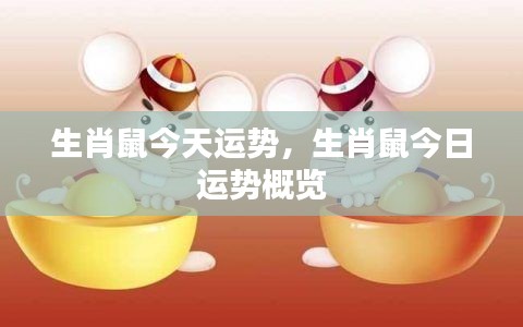 生肖鼠今日运势概览及运势分析