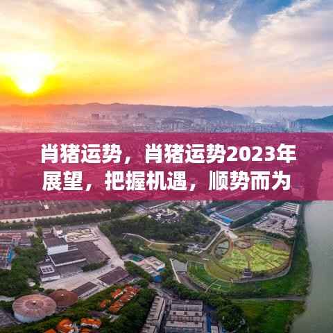 肖猪运势2023年展望,把握机遇,顺势而为