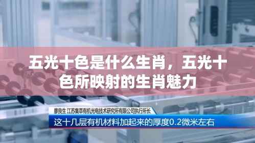 五光十色映生肖魅力,揭秘生肖中的色彩艺术