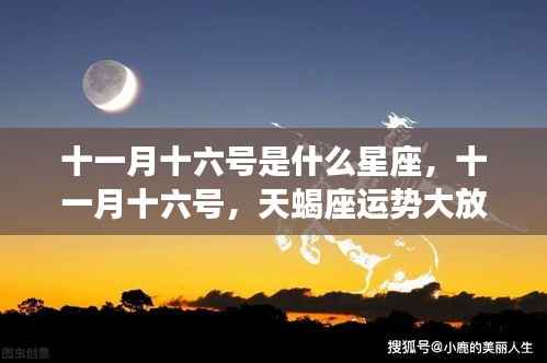 十一月十六号天蝎座运势大放异彩,星座运势解析