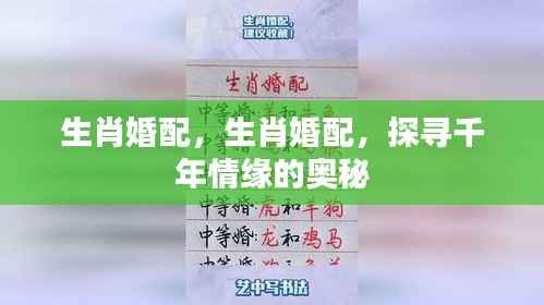 生肖婚配奥秘,探寻千年情缘的缘分密码