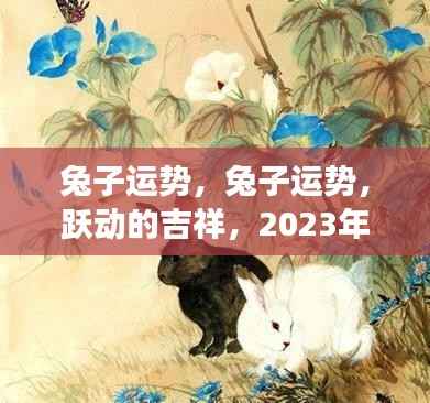 2023年属兔人的事业、财富与健康运势详解,跃动的吉祥运势展望