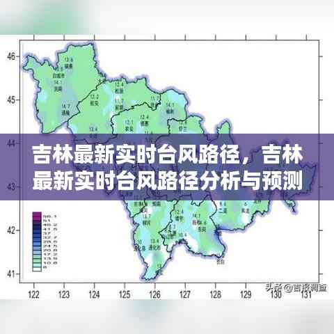 鸟为食亡 第4页