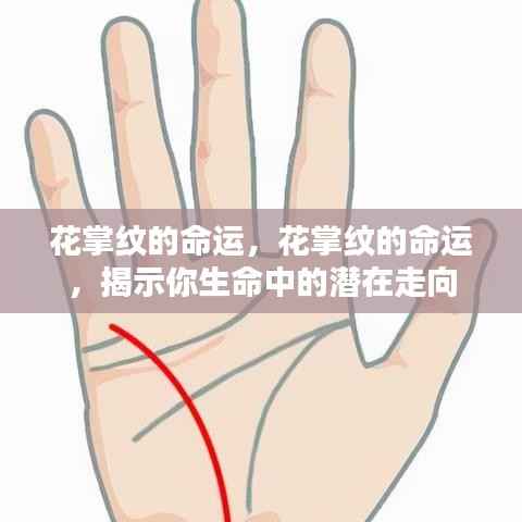 花掌纹命运揭秘,揭示生命潜在走向的神秘纹路