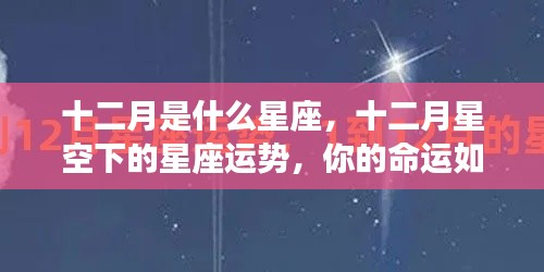 十二月星座运势解析,星空下的命运展望