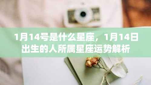 粗制滥造 第4页