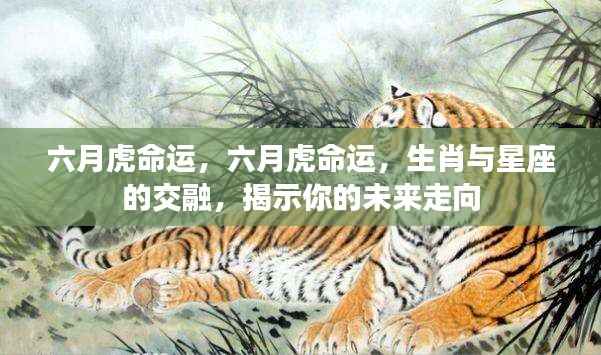 六月虎命运揭秘,生肖与星座交融,洞悉未来走向