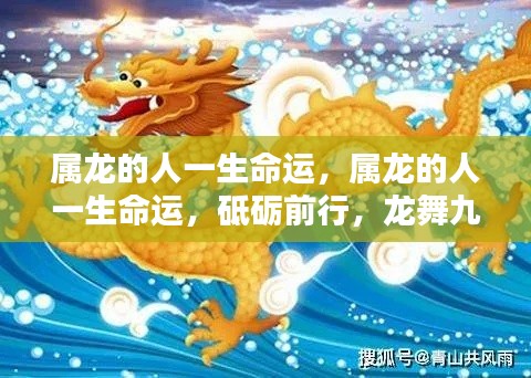 属龙人的命运轨迹,砥砺前行,龙舞九天的一生