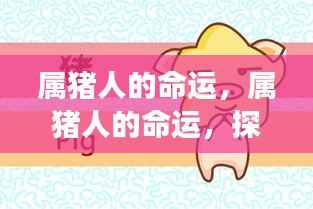 属猪人的命运探究,星象背后的无限可能与探寻命运之谜