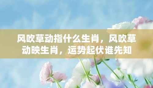 风吹草动映生肖,谁先知运势起伏的秘密?