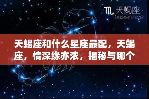 揭秘天蝎座最配的星座,情深缘亦浓的星座配对探索
