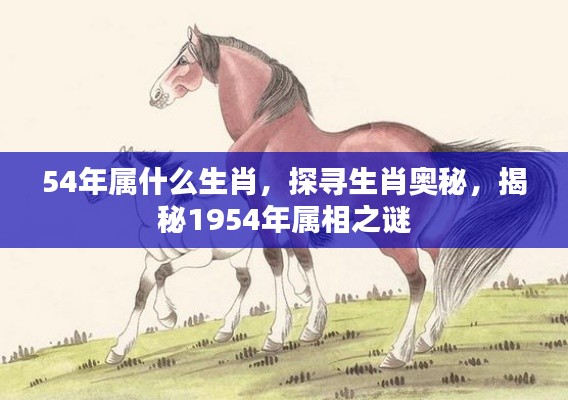 揭秘生肖奥秘,探寻1954年属相之谜,揭秘属相背后的故事与奥秘